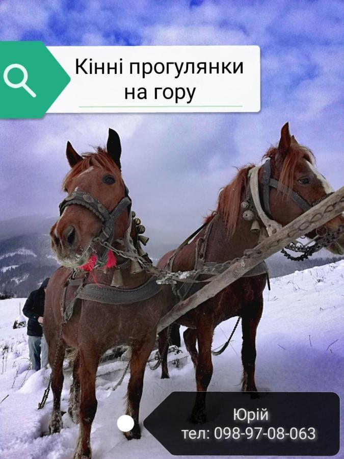 "Ізківський Затишок" Село Ізки Hotel Екстериор снимка